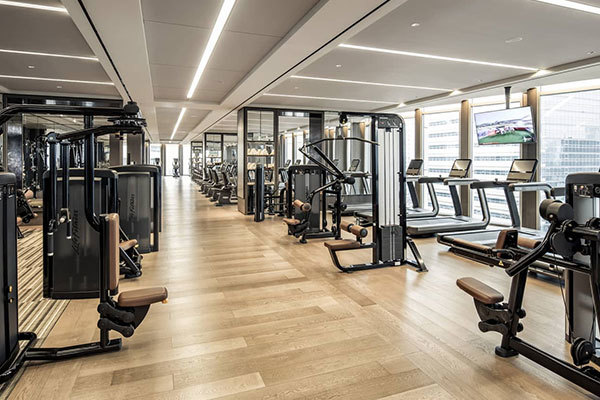 科学がフィットネスを導き、健康的な生活を楽しむ